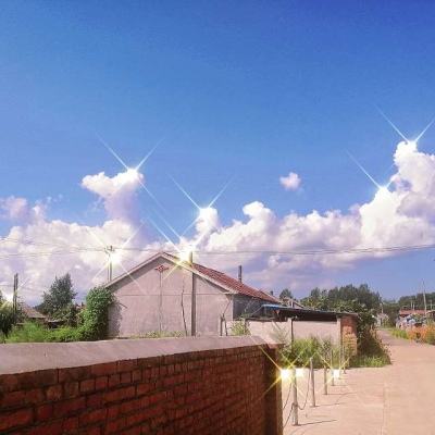 西部利得新动力混合C净值上涨3.21%